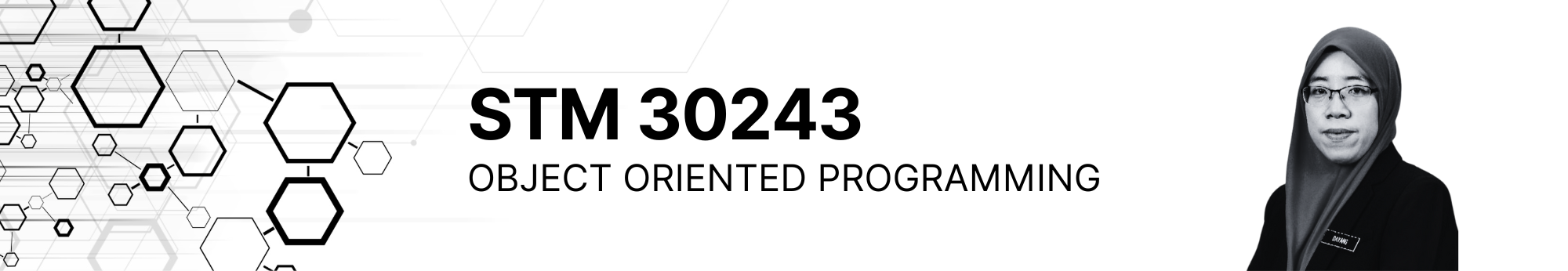 STM30243 - Object Oriented Programming