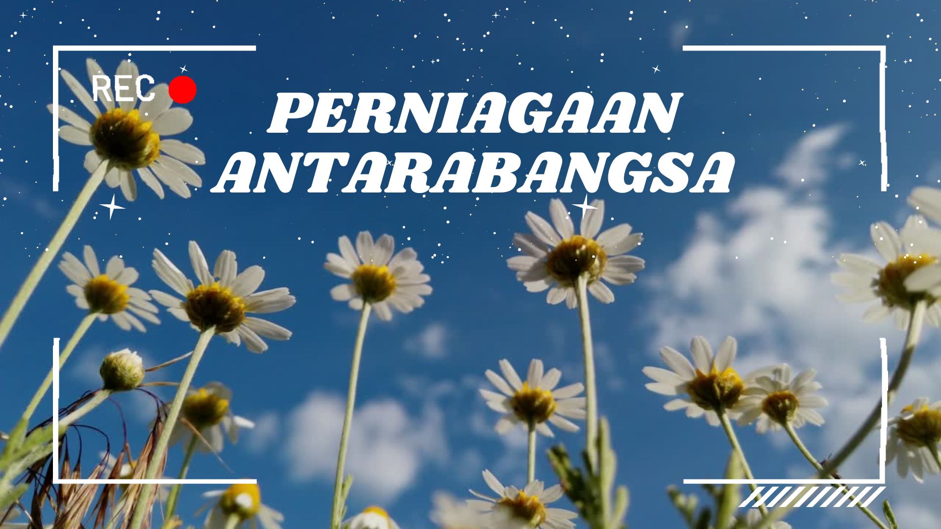 SPP30283 PERNIAGAAN ANTARABANGSA