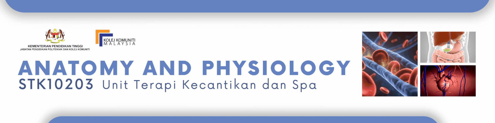 STK10203 ANATOMY AND PHYSIOLOGY