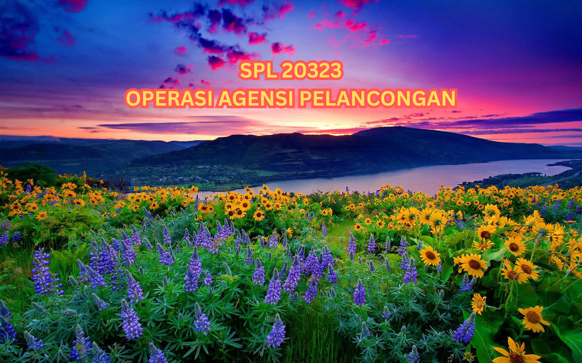 SPL20323 OPERASI AGENSI PELANCONGAN