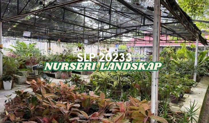 SLP 20233 NURSERI LANSKAP