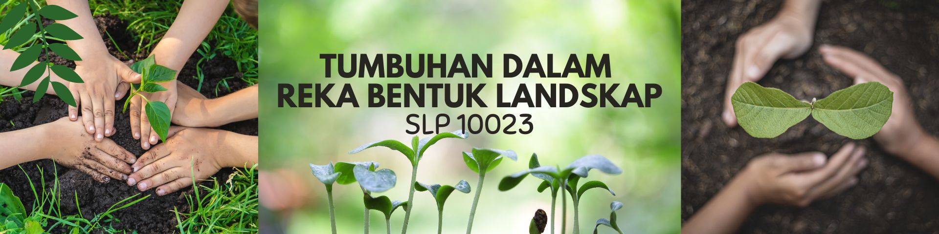 TUMBUHAN DALAM REKA BENTUK LANDSKAP